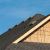 Lake Sherwood Roof Vents by M & M Developers Inc.